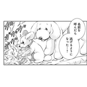 【漫画】『DOG SIGNAL』第8話　「犬を叱る時に名前を呼んではいけない」！【秋のアニメ化の前にチェック！】