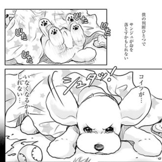 【漫画】『DOG SIGNAL』第12話　飼い犬の命は飼い主の未祐が預かっている【秋のEテレアニメ化の前にチェック！】