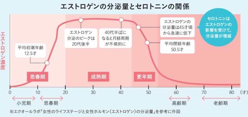 セロトニンとエストロゲンの関係