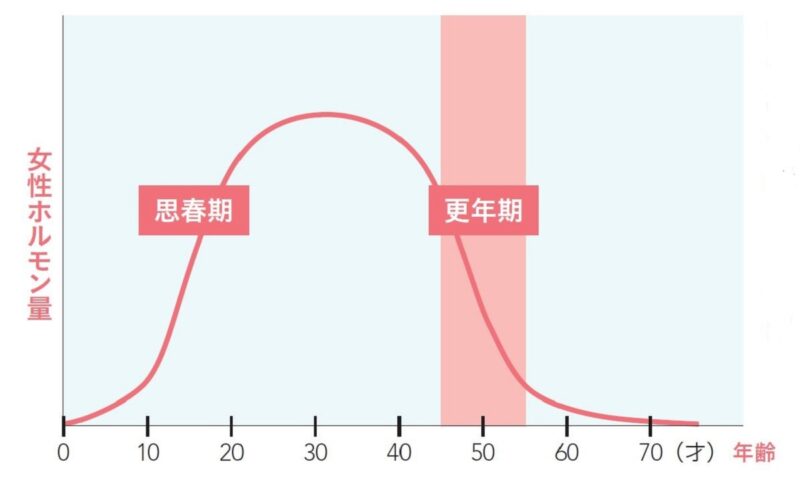 思春期と更年期の女性ホルモン量はほぼ同じ