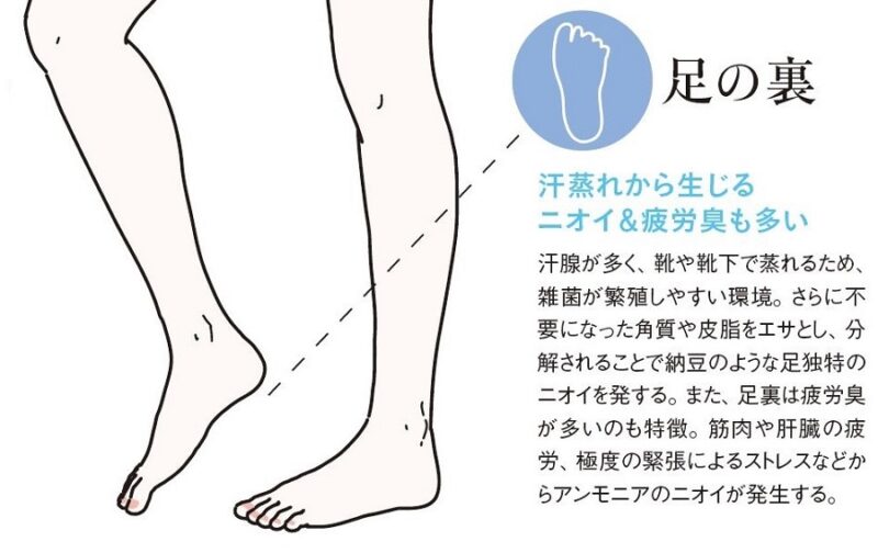 汗で蒸れて汗臭や疲労臭が出る足の裏