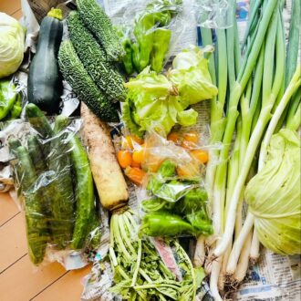 草津　野菜直売みやざき　野菜が安い