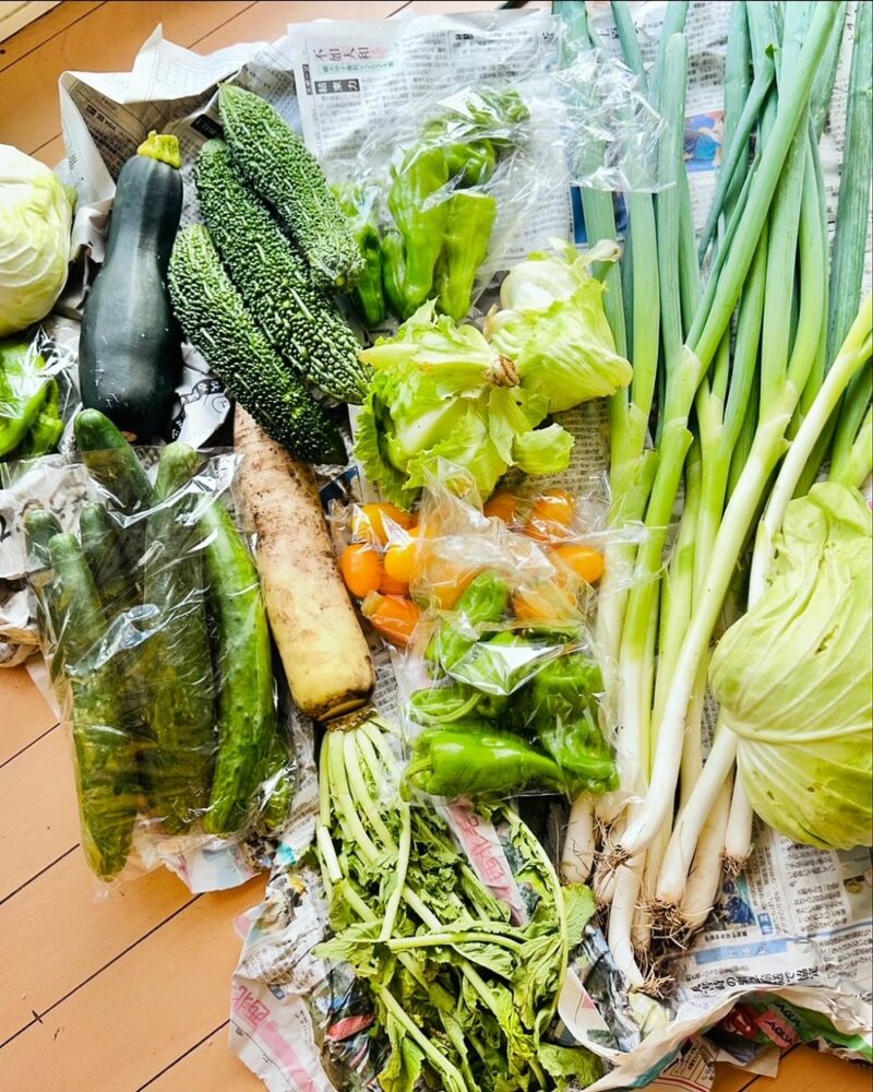 草津　野菜直売みやざき　野菜が安い