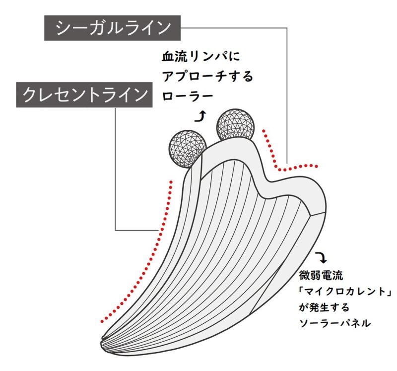 リファカッサレイのパーツ