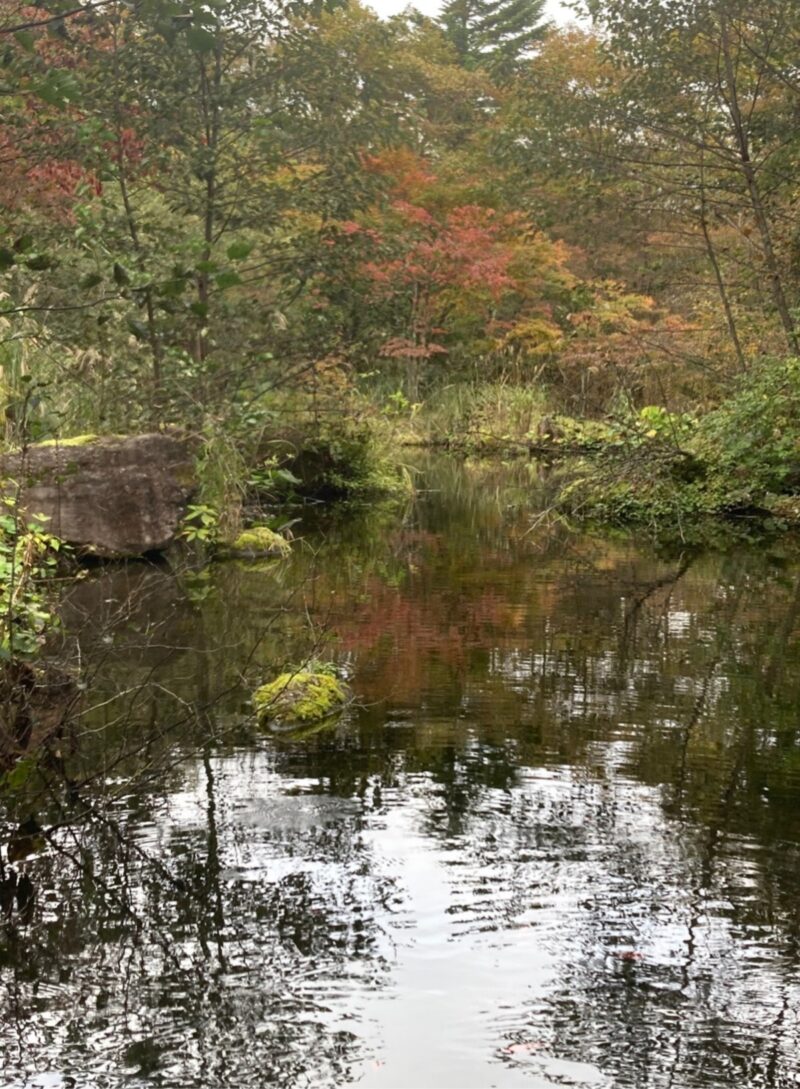 日光の紅葉