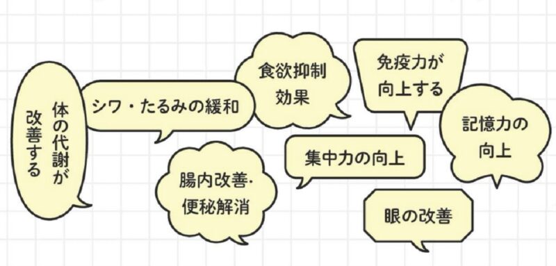 正しく噛むことがもたらす効果