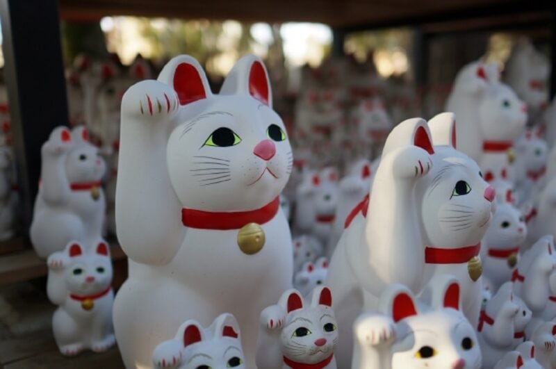 幸運の予兆を診断する心理テスト　招き猫