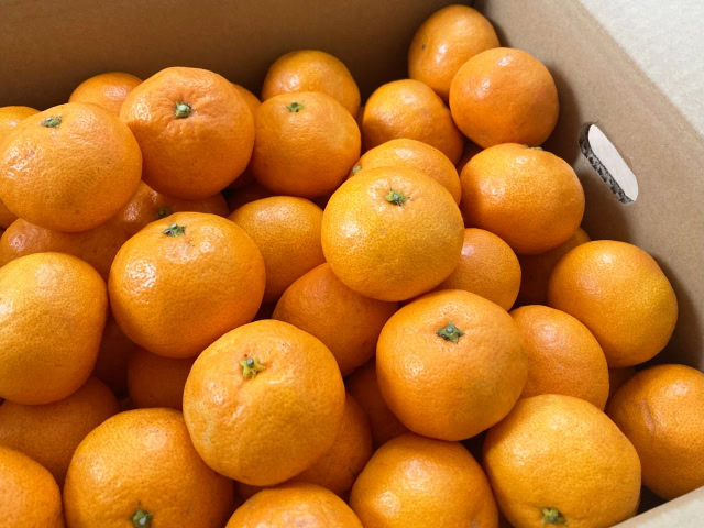 ピッタリな「引き寄せ法」がわかる心理テスト　みかん