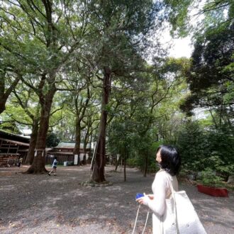大宮八幡宮の境内