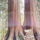 龍神に会えた⁉ 関東屈指のパワースポット「三峯神社」の氣はヤバかった！