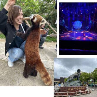 上海旅行で初体験！動物園でのエサやり＆上海雑技団がスゴかった！【かがやき隊│杉田美紀さん】