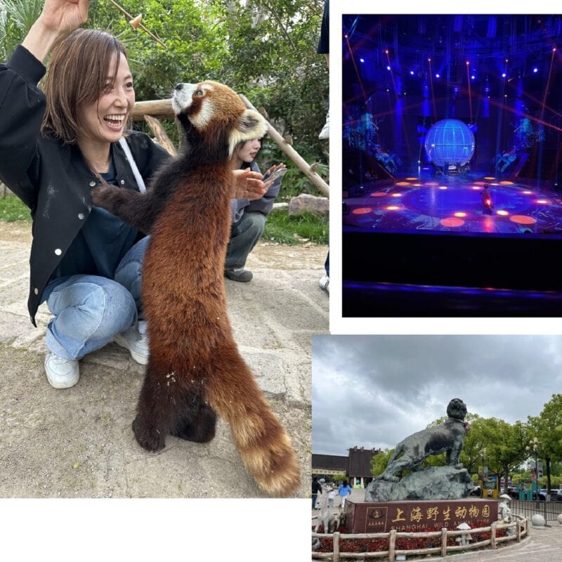 上海の動物園や雑技団を訪れた杉田美紀さん