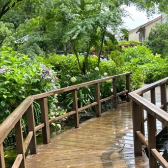 雨上がりのにおい