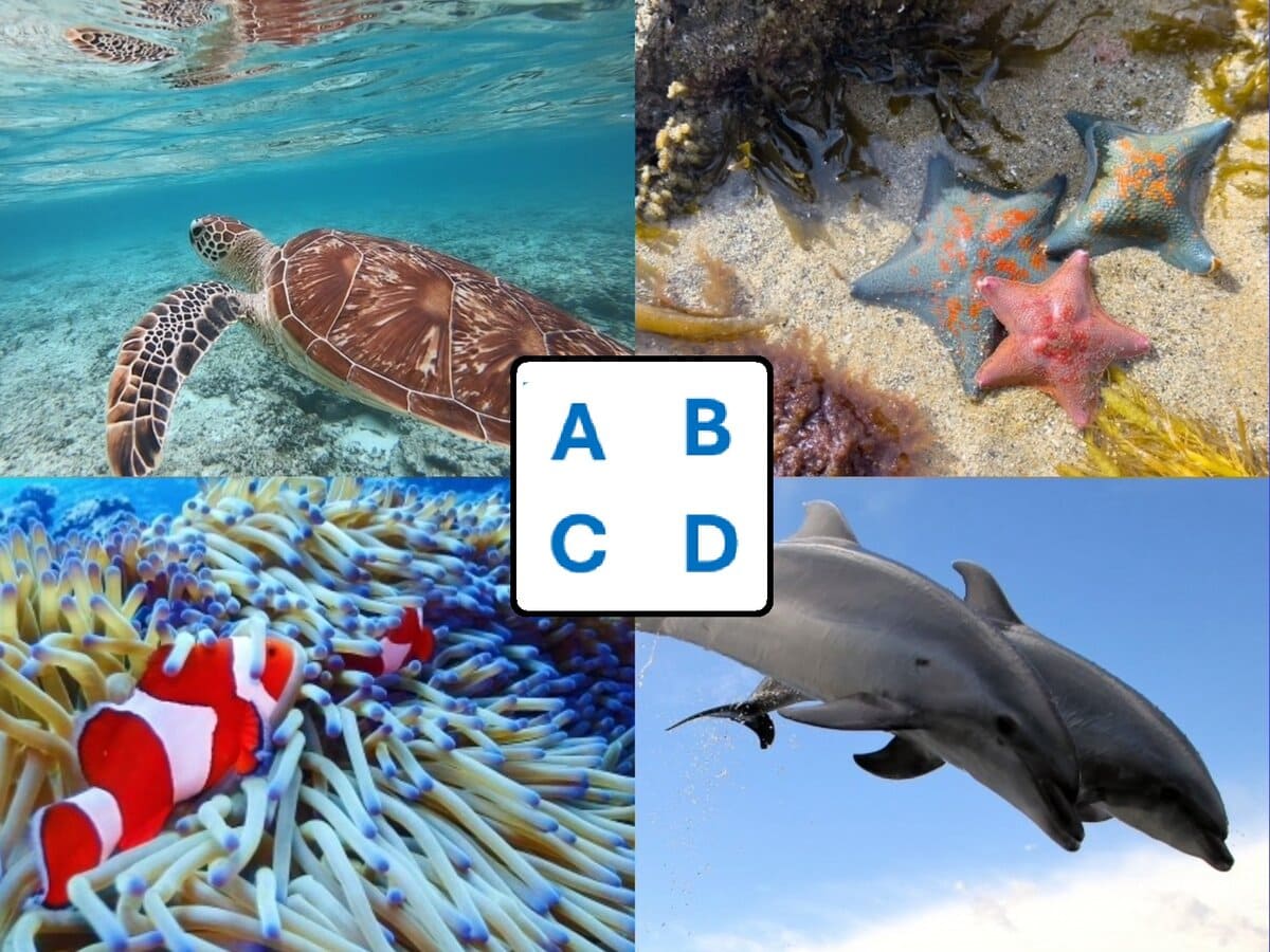 心理テスト】 あなたが「最も満たされる時間の使い方」を、4択で診断