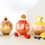 限定メニューもチェック！ 【東京・名古屋・大阪】のスイーツ級ご褒美かき氷４選