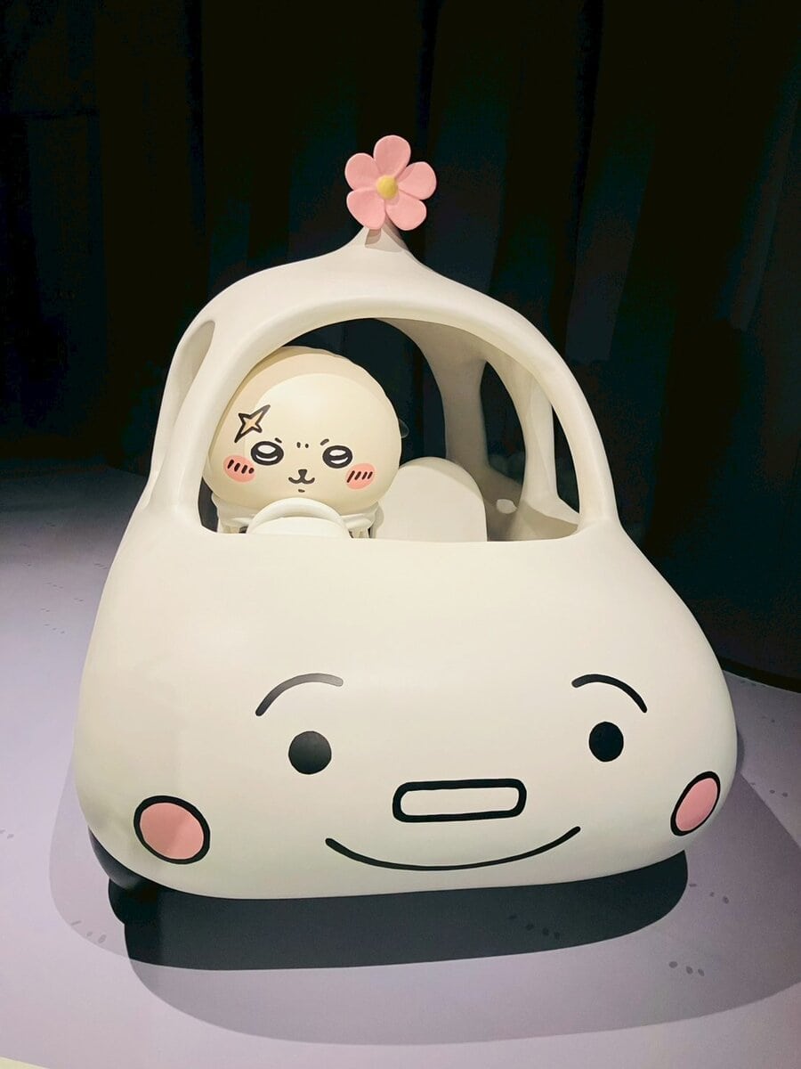 ラッコの車