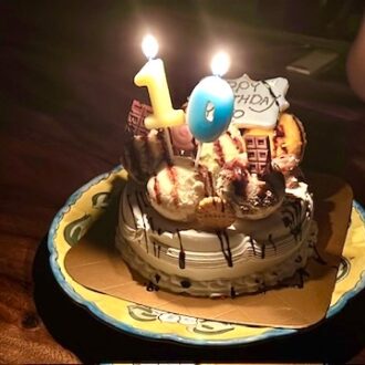 もう知ってる？【31デコケーキ ZOO】のアイスケーキが子どもの誕生日に最高な理由！