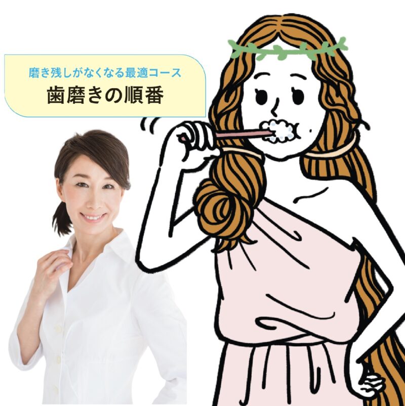 歯科医による歯磨きの順番