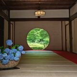 明月院に生しらすランチ、鳩サブレ事件も！　ぶらり鎌倉さんぽ【かがやき隊│戸舘鮎美さん】