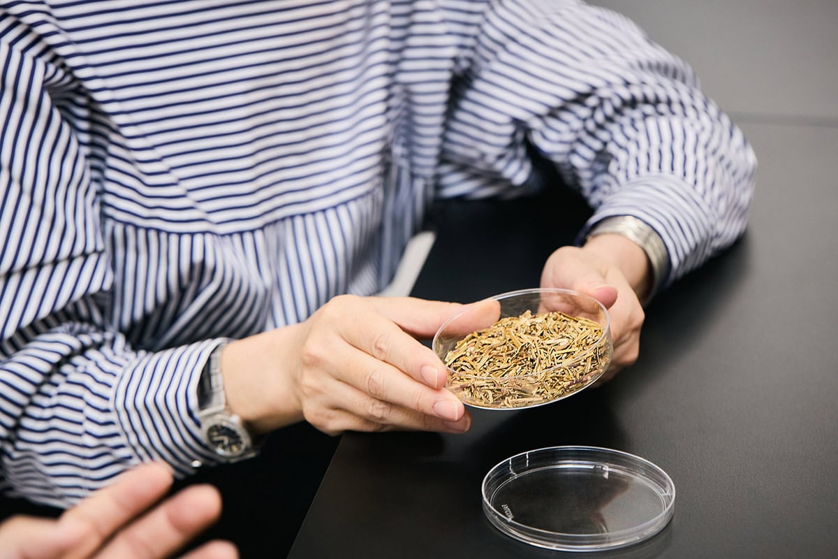 hoyu「ヤーバサンタ」を研究しているイノベーションセンター