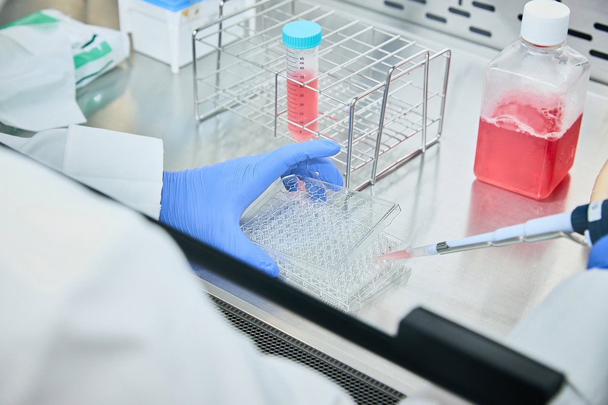 hoyu「ヤーバサンタ」を研究しているイノベーションセンター