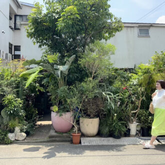 月に一度、秘密のアトリエ解放【セール】洒落たグリーンを探しに｜GLOWブロガー菅沼伊万里さん