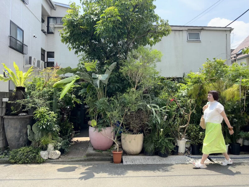 Botanical Atelier Ressourcesの月イチセールへ菅沼伊万里