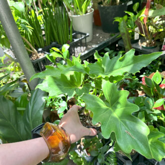 Botanical Atelier Ressourcesの月イチセールへ菅沼伊万里