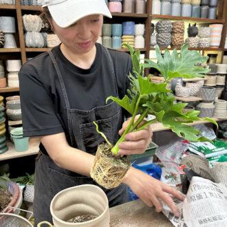 Botanical Atelier Ressourcesの月イチセールへ菅沼伊万里