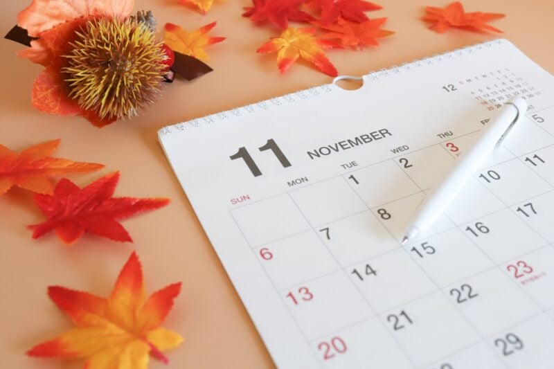 11月　カレンダー写真
