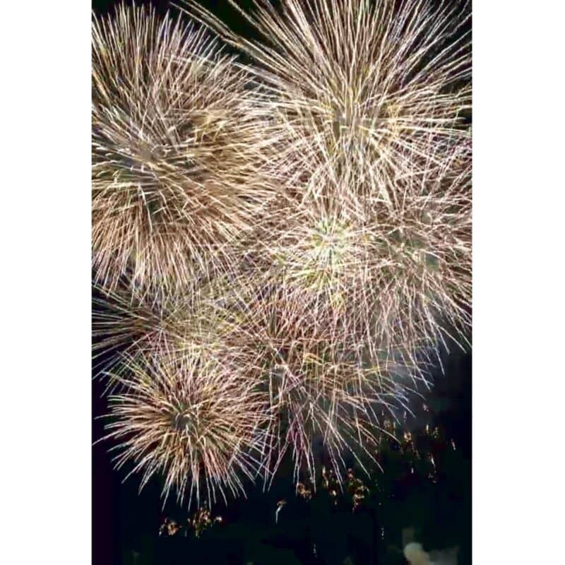 「静岡県の熱海海上花火大会。とにかく暑かった今年は、比較的出かけやすい夕方~夜の時間帯で夏を満喫しましたよ」