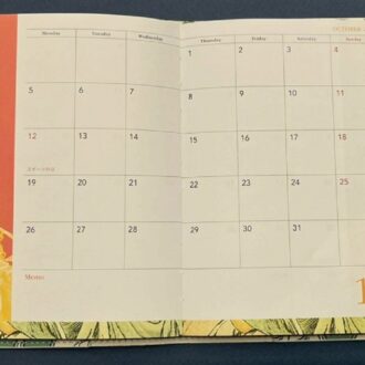 GLOW 12月号 付録 マンスリー10月