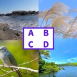 【心理テスト】予知や直感…実はあなたには強い霊感がある⁉ 4択で診断！