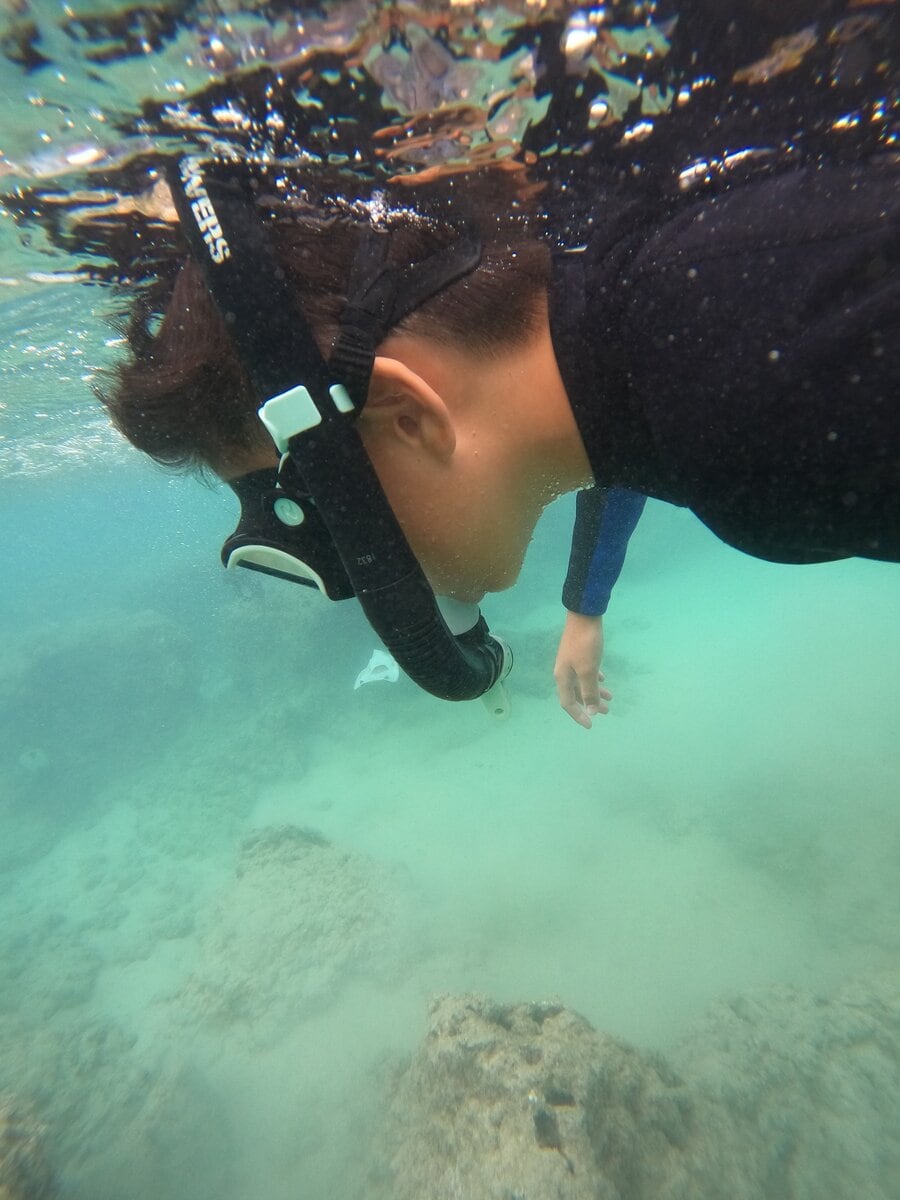 かがやき隊杉田さんのハワイ旅行紀　ハナウマ湾でシュノーケル
