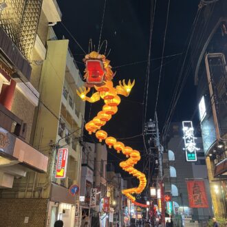 異国情緒あふれるダイナミックな竜