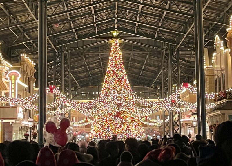 圧巻のクリスマスツリー