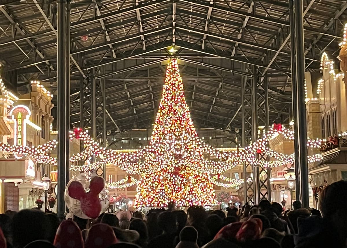 圧巻のクリスマスツリー