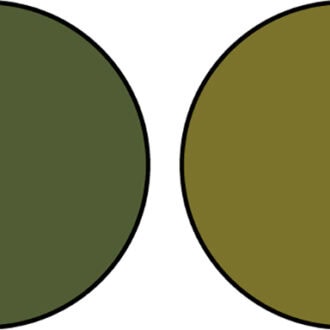 イエベさんに似合う“黄緑が深まった色”のカーキ2色