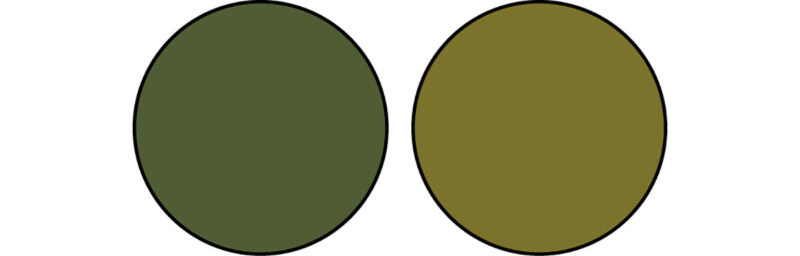 イエベさんに似合う“黄緑が深まった色”のカーキ２色