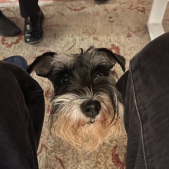 オーストラリアの家庭料理