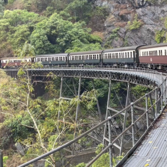 成田から直行７時間で行ける【世界遺産】ケアンズの“世界最古の森”が圧巻すぎた
