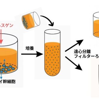 フラコラ独自のナールスゲン追加