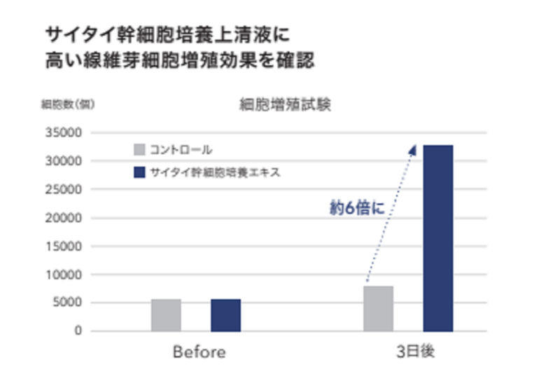 フラコラ　サイタイ細胞