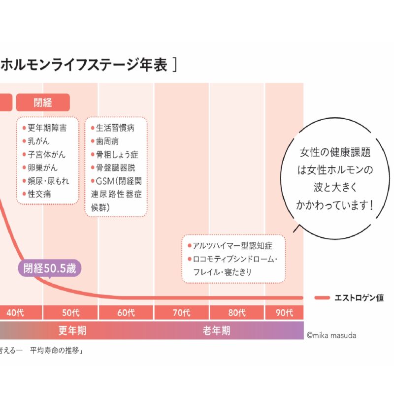 女性のホルモンライフステージ2/2
