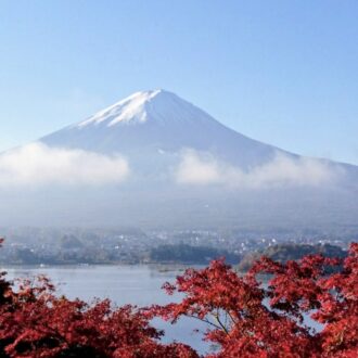 占い師 マダムあんこ