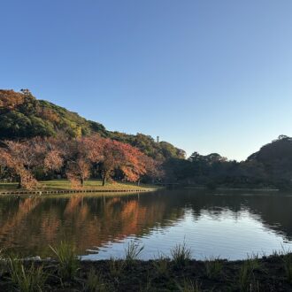 紅葉スポットの穴場発見！三渓園の日本庭園が素晴らしい件