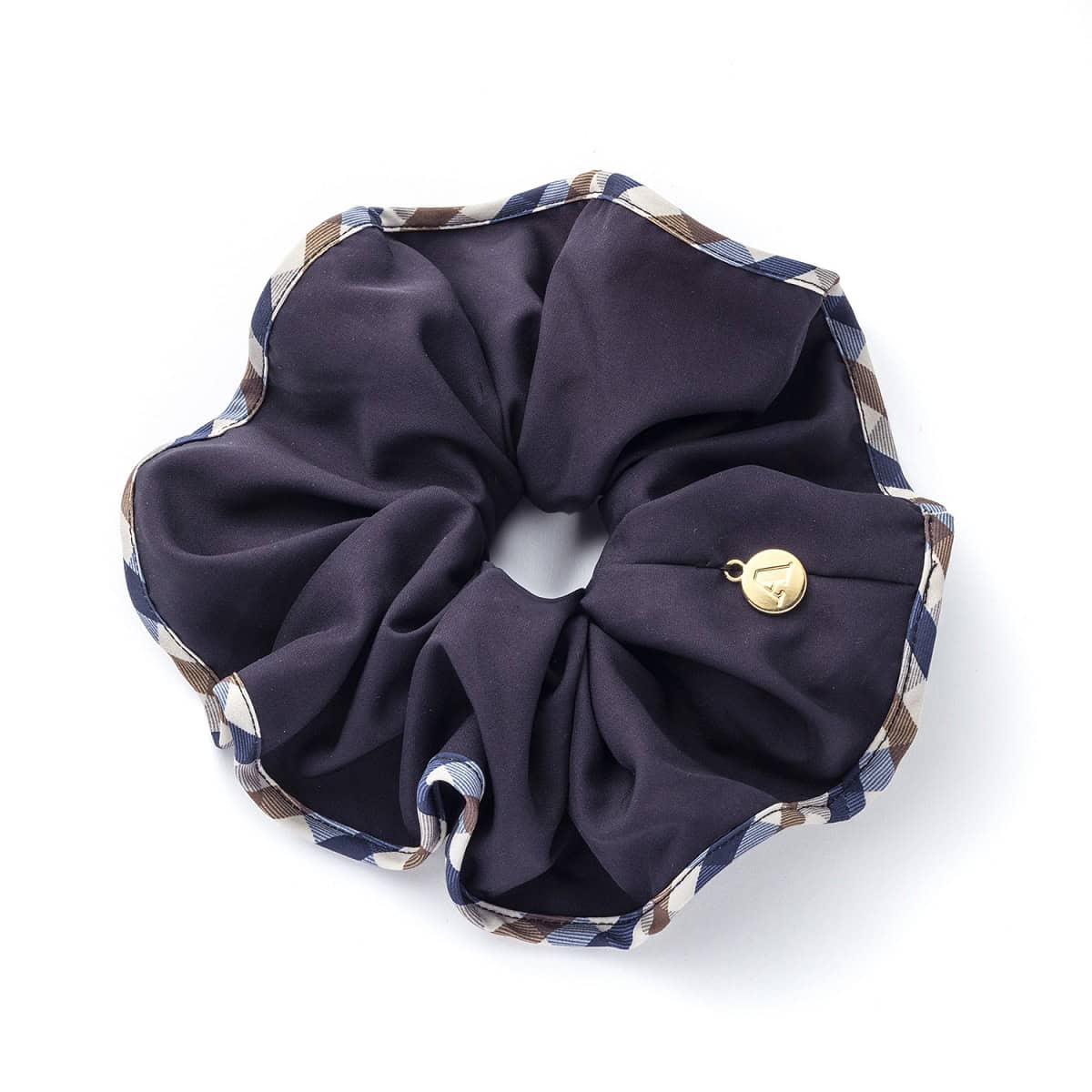 アクアスキュータム　ビッグシュシュ