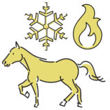 振り落とされないために。丙午と一白水星が示す“速い年”の攻略法|琉球風水志・シウマさんが指南