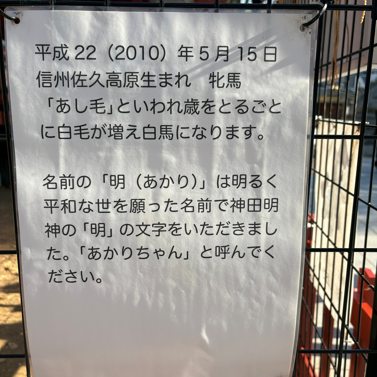 あかりちゃん名前の由来