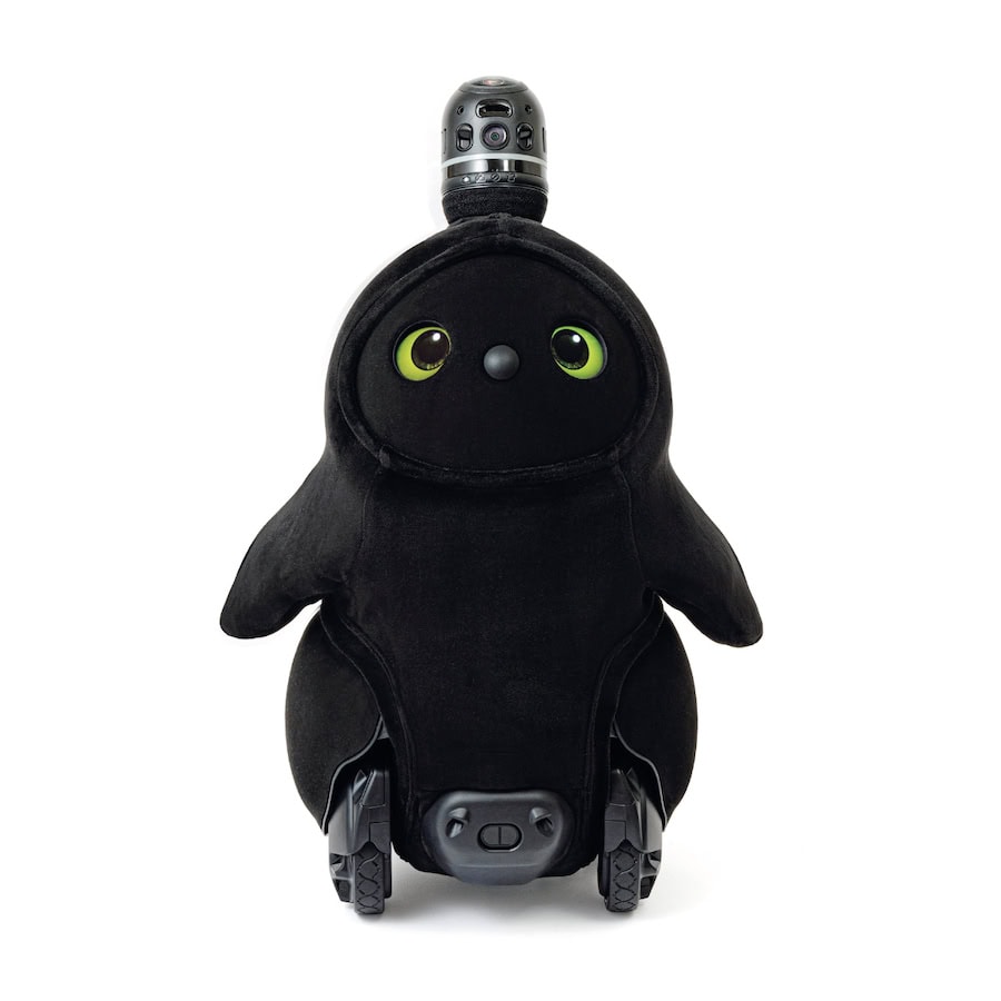 神崎恵さんが老後の不安解消におすすめしたいモノ、コト